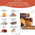 Organic Light Coffee Instant & Organic RYZE - Clearance Sale