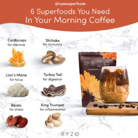 Organic Light Coffee Instant & Organic RYZE - Clearance Sale